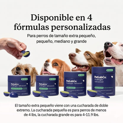 Conozca el galardonado 3 ProBright® Advanced